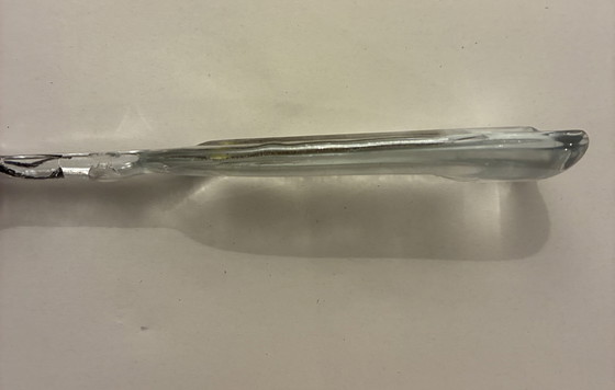 Image 1 of Bottle made of pressed glass with incorporated decorative fish and shell