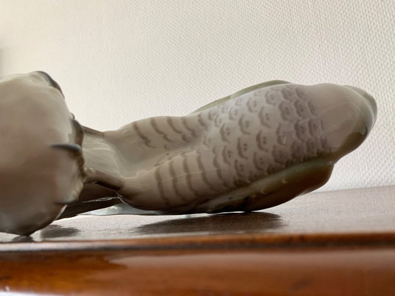 Image 1 of Muy hermoso halcón