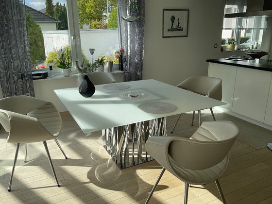 Designer Chairs ZÜCO Little Perillo SRV – Dining chairs, Leather, Metal (photo 2 of 6)
