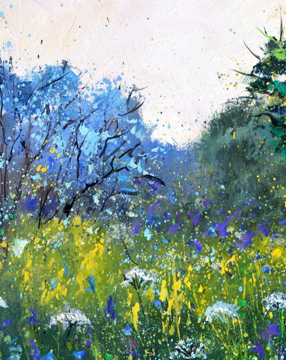 Image 1 of White and blue wild flowers