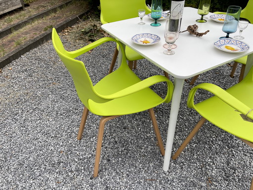 Designer-Gartenstuhl