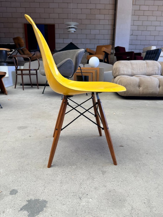 Sedia Eames DSW di Herman Miller in fibra di vetro – Sedie da pranzo, Metal, Wood (photo 9 of 9)