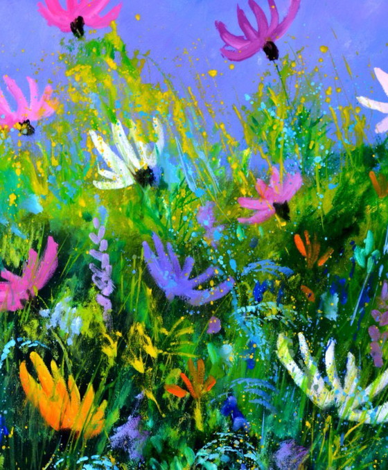 Image 1 of A few cosmos flowers 