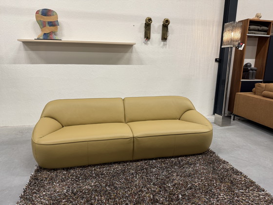 Image 1 of Divano Pode Nivti 3,5 posti Pelle Perla Salba 