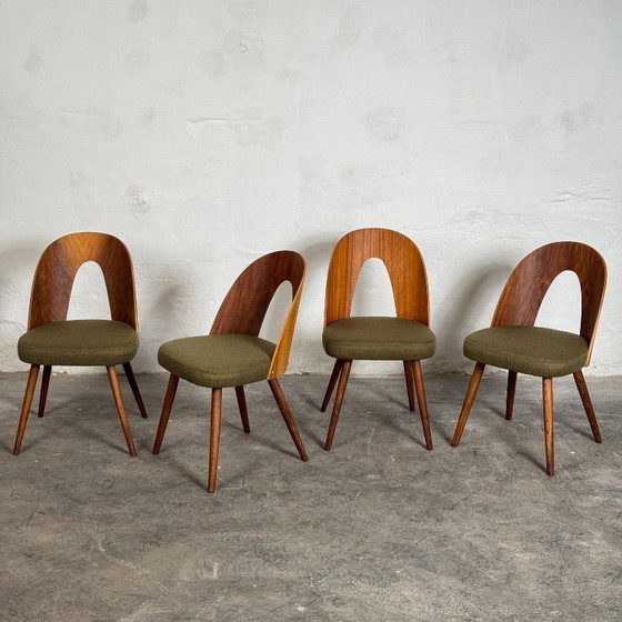 Image 1 of Juego de cuatro sillas de comedor de Antonín Šuman para Tatra Nábytok, años 60 - Totalmente reformadas