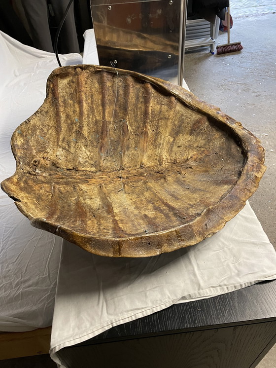 Image 1 of Decoración de pared de tortuga