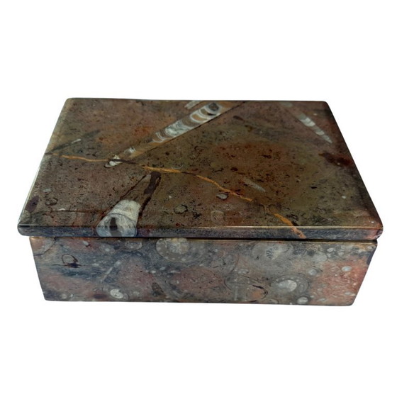 Image 1 of Scatola portagioie o scatola di fossili unica nel suo genere il segreto del marmo Orthoceras - Naturally Chic