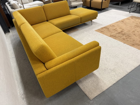 Leolux Bellice Hoekbank Stof Geel 270x260 – Hoekbanken, Wool (photo 9 of 15)