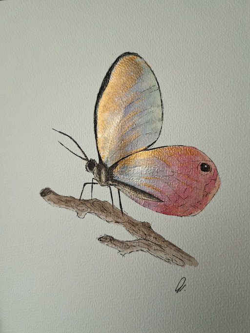 Watercolor painting Blushing Phantom Butterfly in gold-colored frame