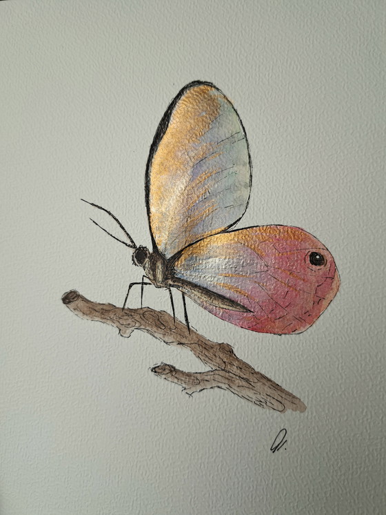Image 1 of Watercolor painting Blushing Phantom Butterfly in gold-colored frame