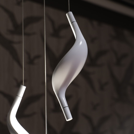 Image 1 of Cini & Nils Aqua Uplight 3 hanglamp