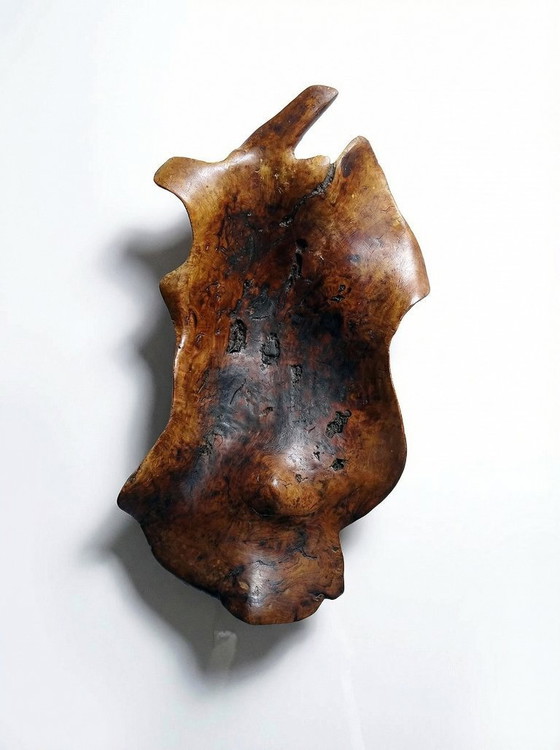 Image 1 of Grande coupe monoxyle en bois brut d'olivier foncé années 50