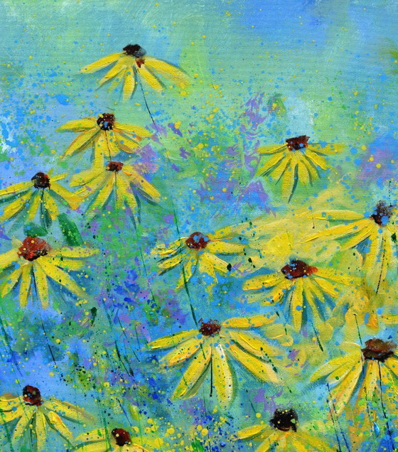 Image 1 of Fiori da giardino