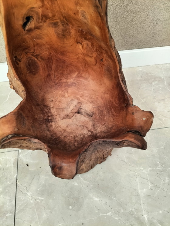 Image 1 of Solid tree trunk