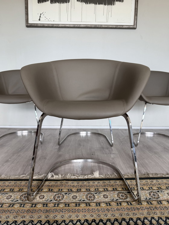 Image 1 of 4x Chaise Arper Duna Design by Lievore Altherr Molina, ca2014