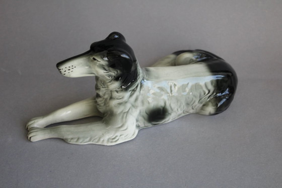 Image 1 of Galgo ruso (Borzoi), tumbado, con manchas blancas y negras, probablemente Scheidig Gräfenthal.