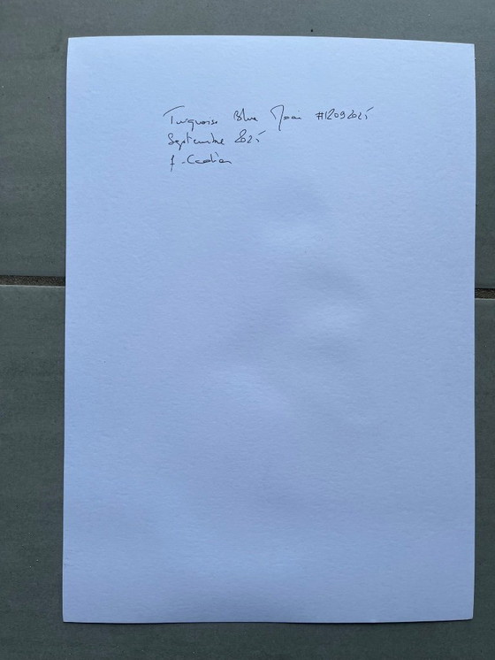 Image 1 of Turquoise India ink on white paper.  Format 30x21cm.