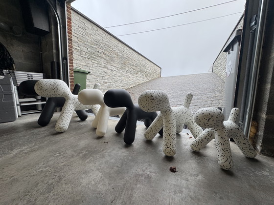 Image 1 of Magis - Metoo Puppy'S