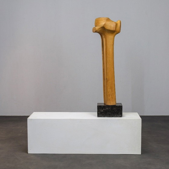 Image 1 of Abstrakte biomorphe Skulptur aus geschnitztem Holz und Stein, 1970er Jahre