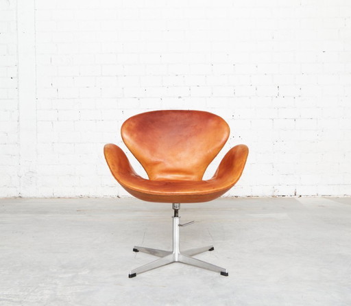 Sedia Swan disegnata da Arne Jacobsen per Fritz Hansen