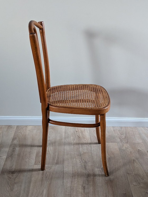 Image 1 of Originele Thonet 56 gebogen houten stoel – Vintage designklassieker