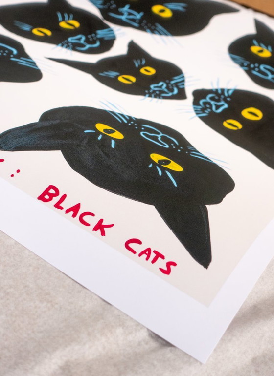 Image 1 of Schwarze Katzen überall – David Shrigley – Poster 50 × 70 cm
