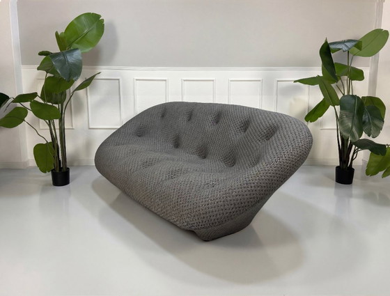 Image 1 of Ligne Roset Ploum Designer Sofa Gray Fabric