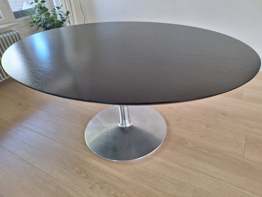 Ovale Eettafel Circle Artifort