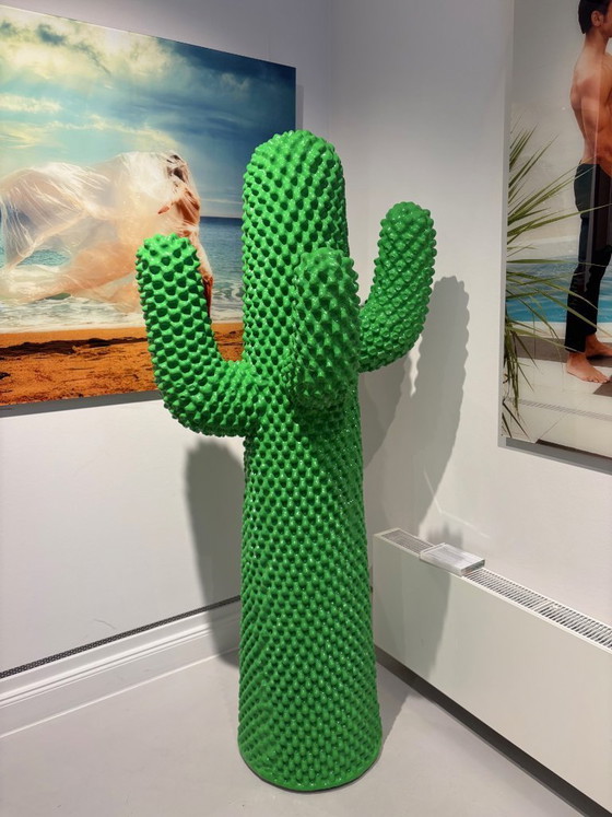 Image 1 of Cactus Gufra verde