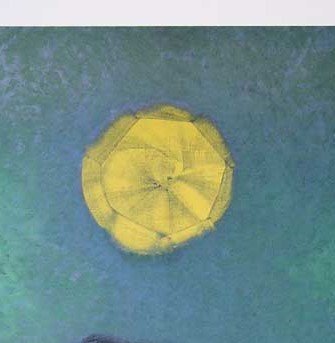 Image 1 of Ernst, Max - Cause del sole - Offset del colore