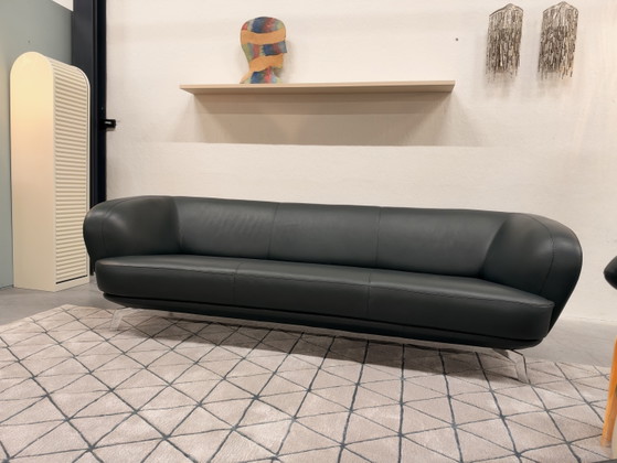 Leolux Flint 3.5-seater Sofa Raffino Turtle leather, 3-5 seaters, Green (photo 11 of 11)
