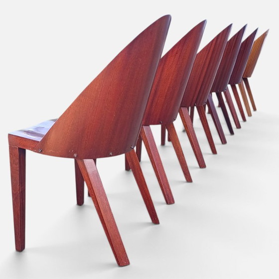 6x Philippe Starck Royal 44 Chair Chair Aleph Driade 1985 – Dining chairs, Wood (photo 18 of 19)