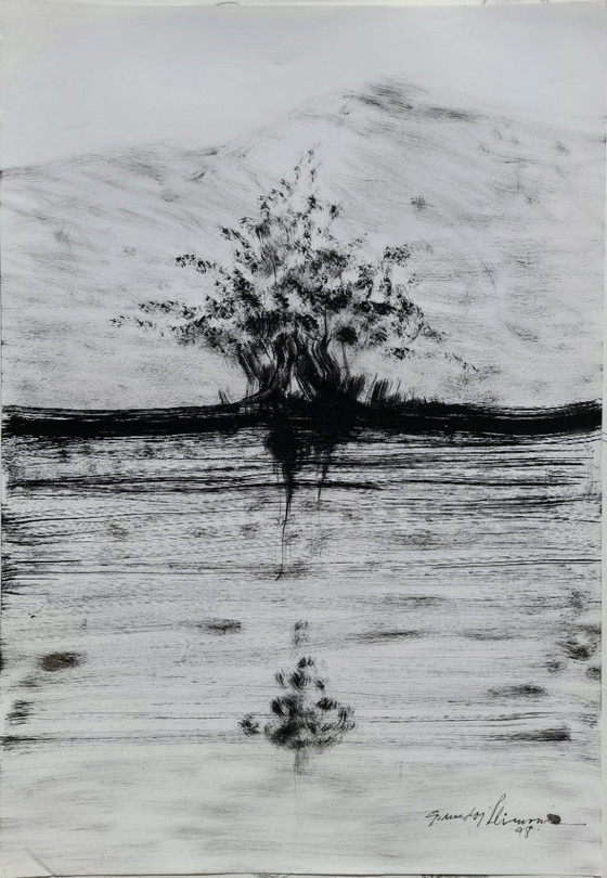Image 1 of GRANADOS LLIMONA, Ink on glossy paper ('98), Size 65 x 45 cm.