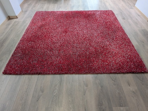 De Millenerpoort Design Teppich 'Bella Piccolo' (205 x 212 cm) - 100% Wolle