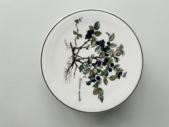 Image 1 of Villeroy & Boch - schalen/peper & zoutstel (ongebruikt)