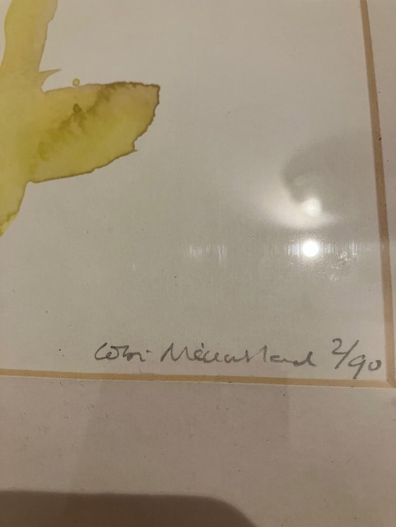 Image 1 of Nova Zembla screen print Cobi Nieuwstad