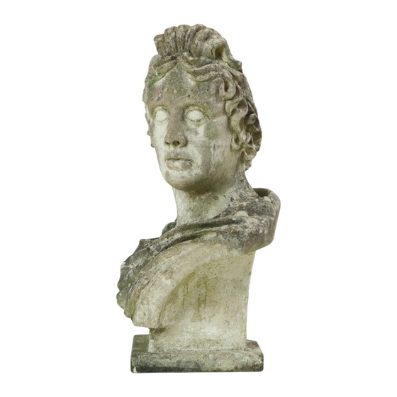Image 1 of Large Apollo Bust Garden Statue