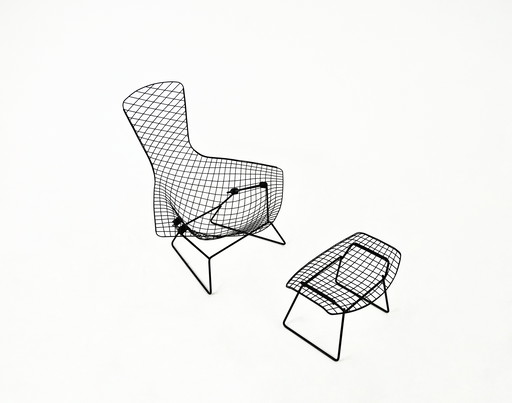 Bird Chair With Ottoman By Harry Bertoia For Knoll, 1960S