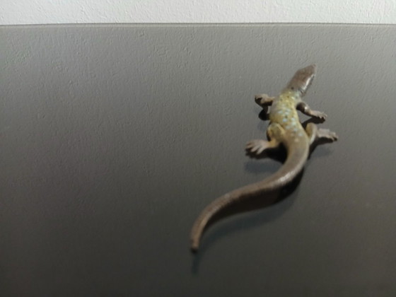 Image 1 of Franz Xavier Bergmann (1861-19360), bronzen salamander