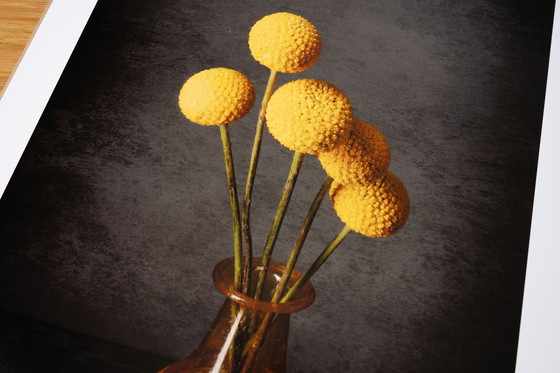 Image 1 of Poder de las flores I