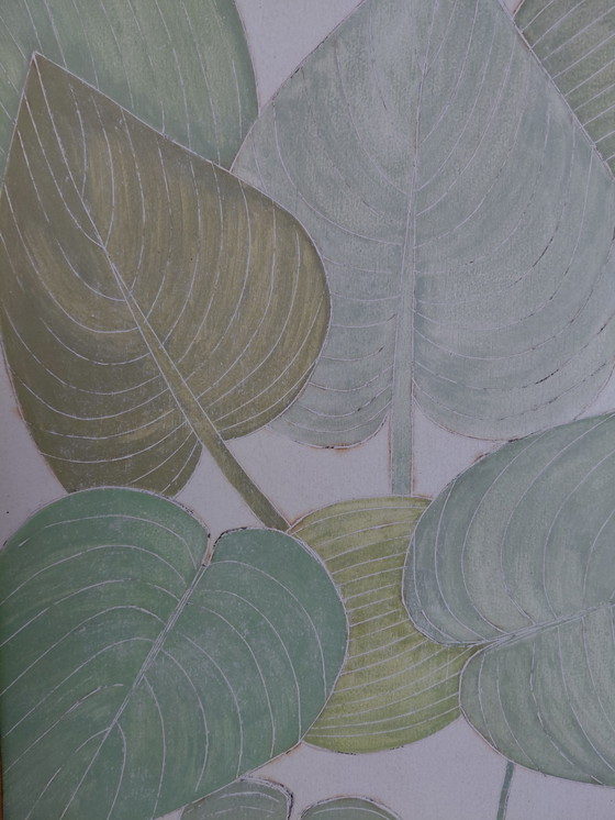 Image 1 of Galería "Hosta Blue Angel" Suncorner