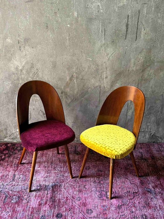 Antonín Šuman Stuhl 1967 für MIER Topoľčany, Mid Century Stuhl Nussbaum, Restauriert, Tschechischer (photo 5 of 9)