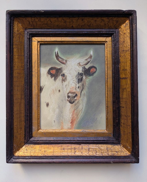 Studio di una mucca bianca, pastello su carta.