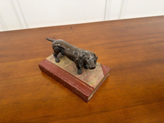 Scultura antica Bloodhound – Sculture, Bronzo, Pelle (photo 3 of 8)