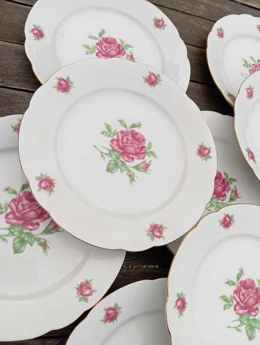 10 Retro Chique Rose Dessert Borden - Seltmann Weiden