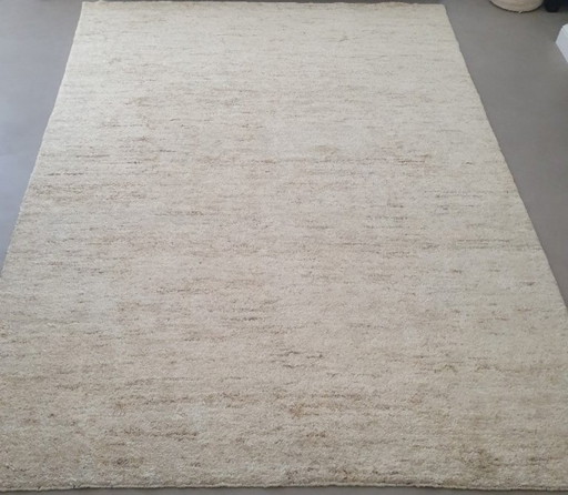 Nuovo in vendita dall'importatore