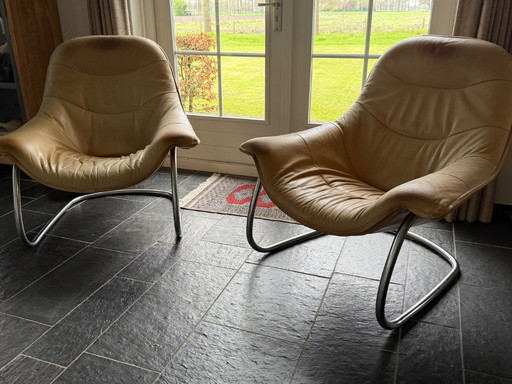 Gérard van de Berg | ÉTIQUETTE Tobias 2x