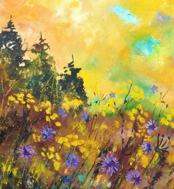 Image 1 of Cornflowers