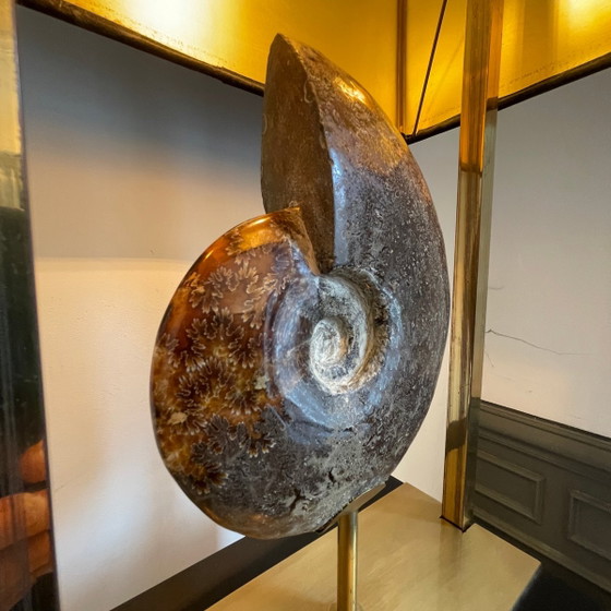 Lampe vintage Hollywood Regency Ammonite en laiton doré et bois laqué noir de Maison Jansen, 1970 (photo 3 of 19)