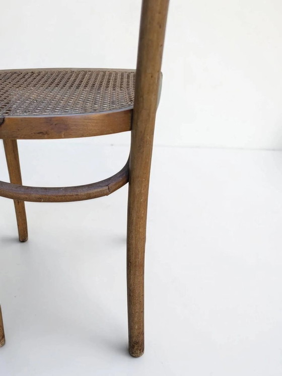 Sedia da bistrò impagliata – Sedie da pranzo, Wood, Art Nouveau (photo 7 of 12)